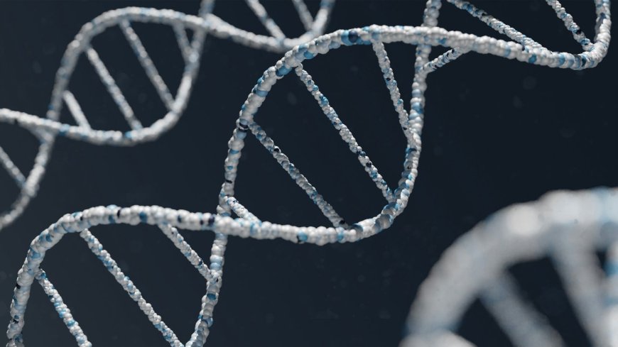 Scientists Create Fertile Mice from Two Male Parents Using DNA Editing