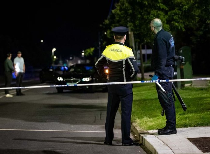 Man in his 20s dies in Dublin hit-and-run, Gardaí seek witnesses