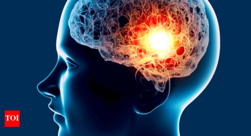 Understanding Brain Aneurysms: What You Need to Know