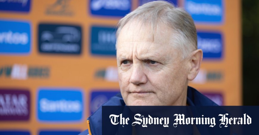 Australia Coach Responds to Lions Boss Over Player Release