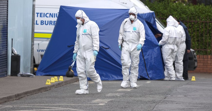 Man's Death in Co Dublin Hit-and-Run Linked to Gang Feud