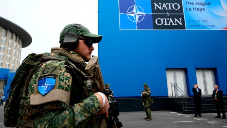 Nato's Mark Rutte: Trump Supports Alliance with Increased European Defense Spending