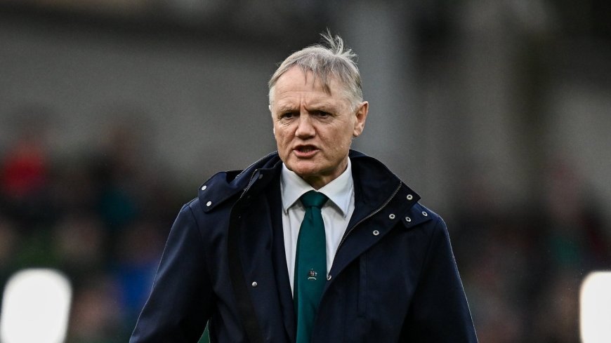 Australia Coach Schmidt Responds to Lions' Player Release Demands