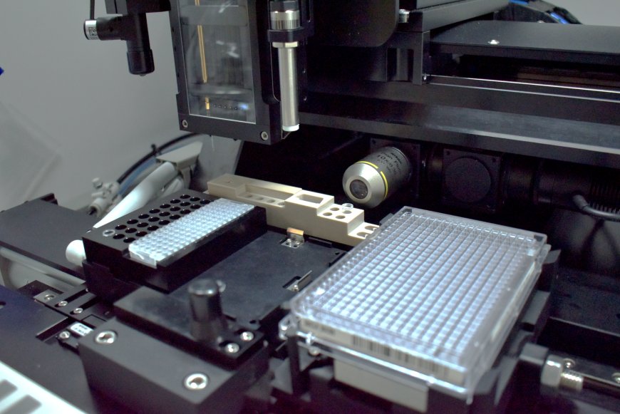 How Automation is Revolutionizing B-Cell Cloning for Antibody Development