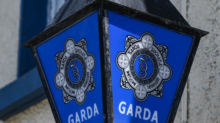 Two arrested for false imprisonment of woman in Kildare
