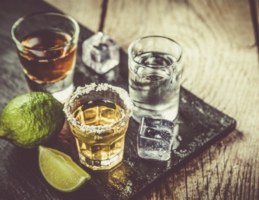 Alcoholic Liver Disease Worsens HBV Reactivation in Liver Transplant Patients