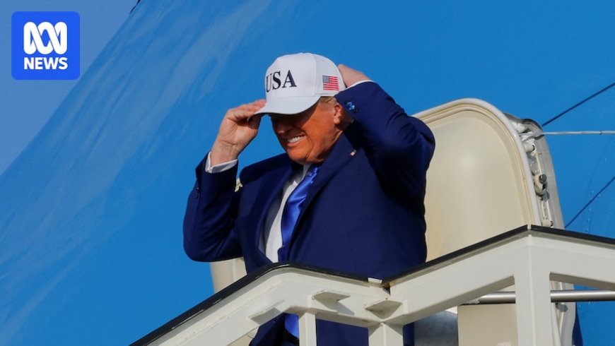 NATO's Efforts to Please Trump Amid Unpredictability