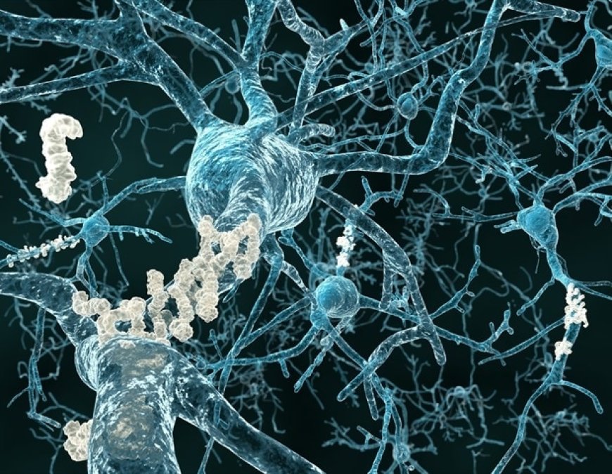 Study Finds Elevated Blood Levels of Phosphorylated Tau in Newborns and Alzheimer's Patients