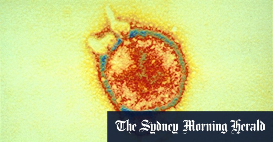 Scientists discover 20 new bat viruses in China, raising concerns