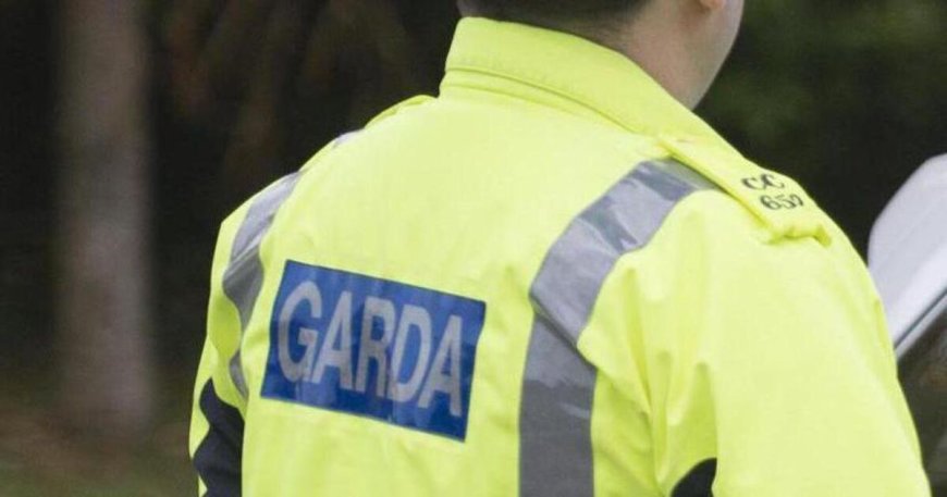 Man in his 40s arrested for fatal hit-and-run in Dublin