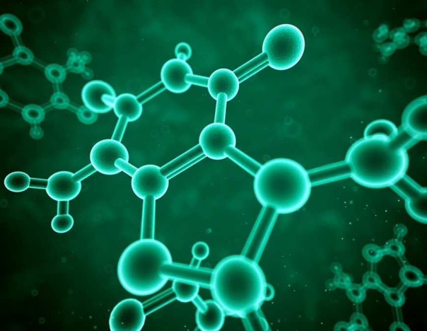 New Method Improves Survival of Transplanted Islet Cells in Type 1 Diabetes
