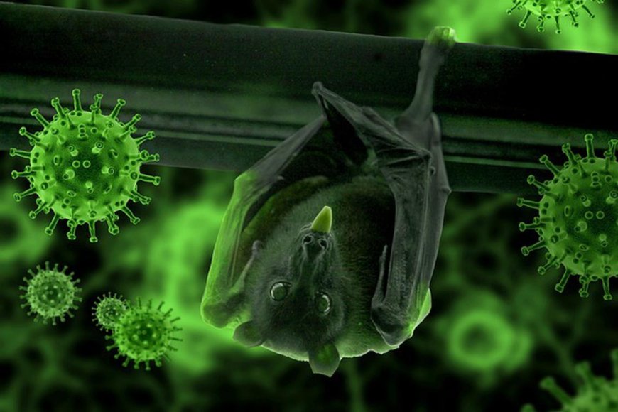 New Viruses Linked to Deadly Diseases Found in Chinese Bats