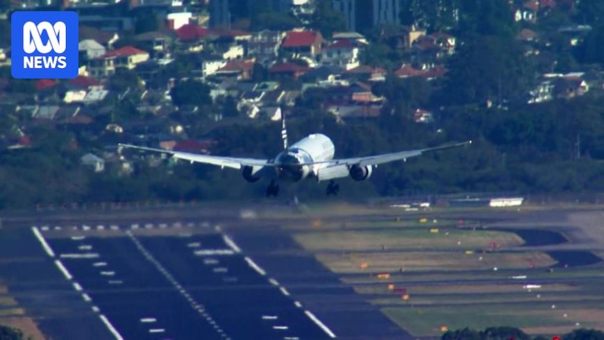 Strong Winds Cause Chaos in Illawarra: Flights Delayed, Power Outages, and Transport Disruptions