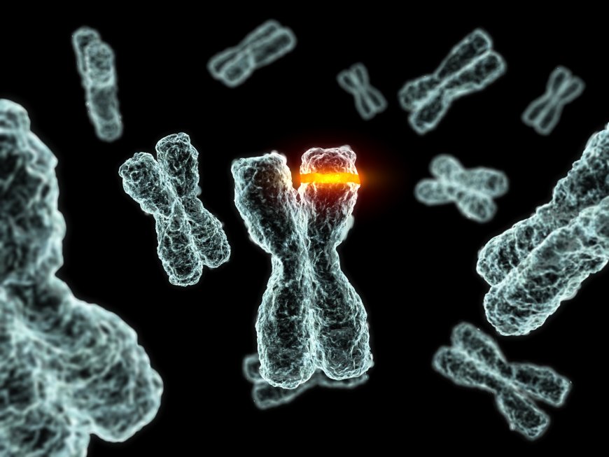 New Test Predicts Chemotherapy Resistance