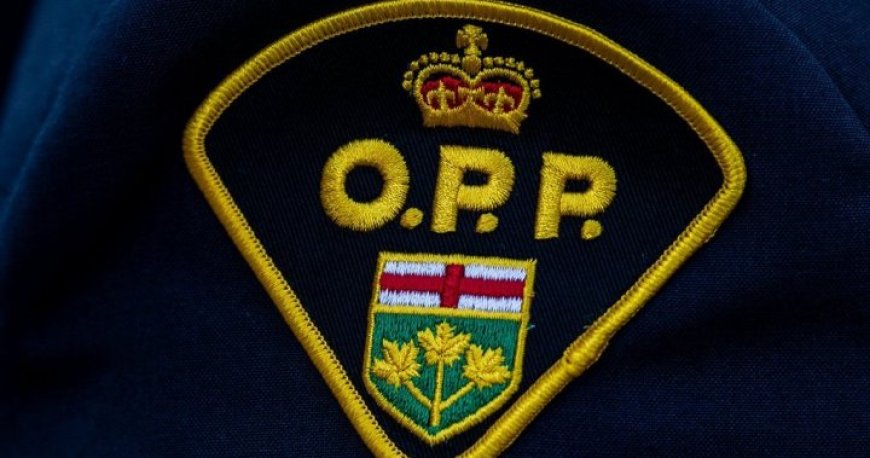 Police Warn Residents to Keep Children Safe Indoors After Suspected Animal Attack in Ontario