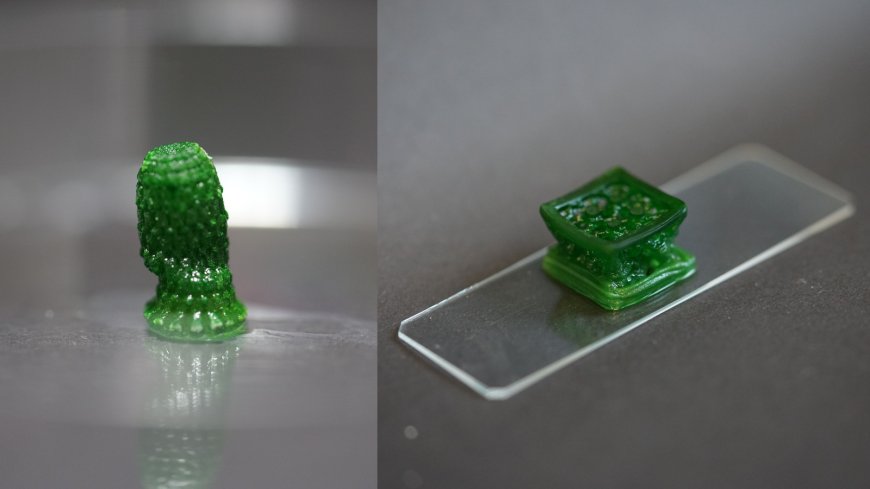 New 'Living' Material Invented by Scientists to Remove CO2 from the Air