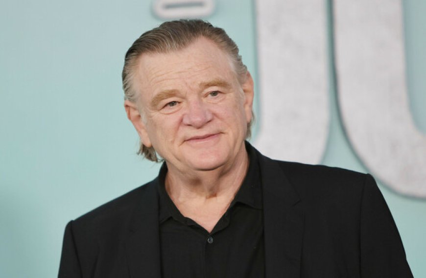 Brendan Gleeson Reflects on Calling Micheál Martin a 'Moron' Over Healthcare