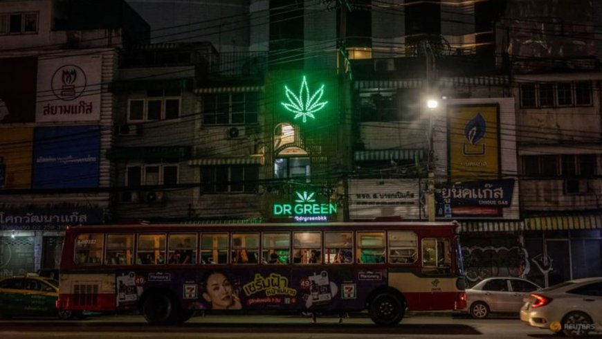 Thailand to Recriminalise Cannabis, Impacting Billion-Dollar Industry