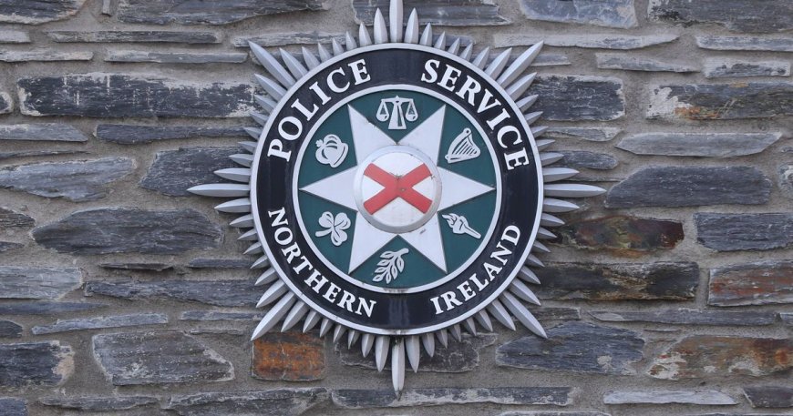 Police Investigate Sexual Assault on Teenage Girl Near Irish School