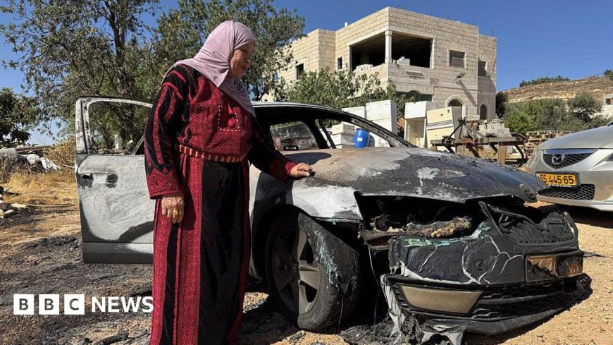 Israeli settlers attack West Bank village, killing three Palestinians