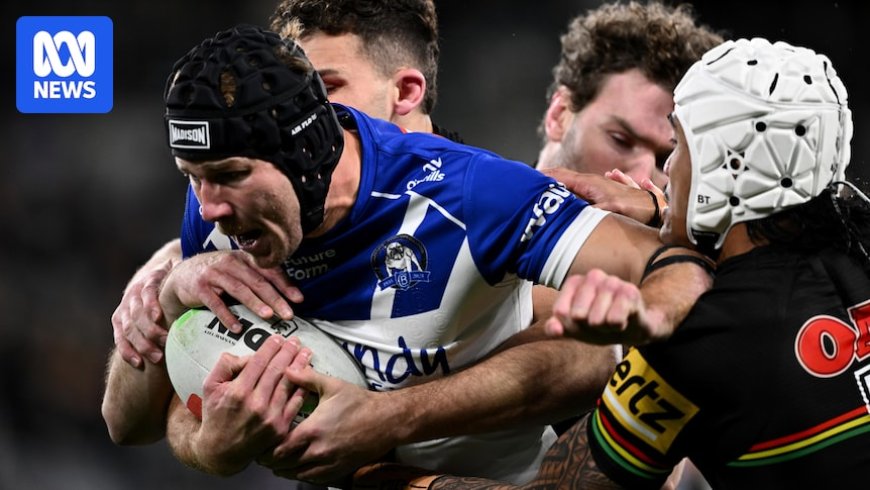 NRL Round 17: Panthers vs Bulldogs Live Updates and Match Preview