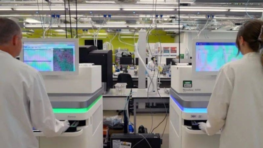 Scientists Start Project to Create Artificial Human DNA