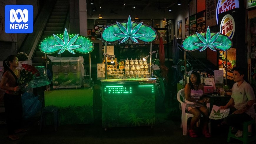 Thailand Reverses Legalisation of Recreational Cannabis Sales
