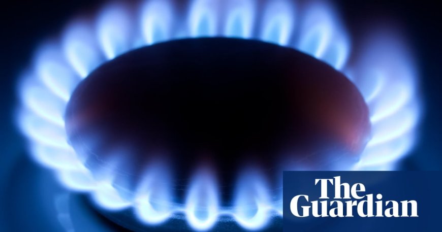 Australian Gas Networks Faces Court Action for Misleading Consumers on Renewable Gas Claim