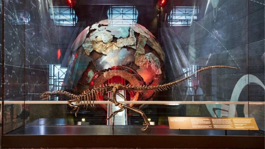 150-Million-Year-Old Dinosaur Skeleton Unveiled at Natural History Museum in London