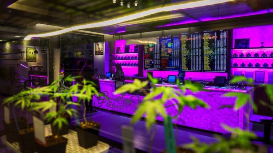 Thai Cannabis Stores Concerned Over Government's Plan to Tighten Sales Rules