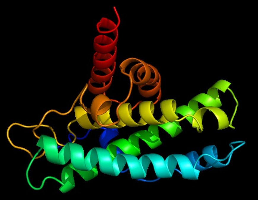 Study Finds Epigenetic Enzyme SETD1B Drives Aggressive Growth in Acute Myeloid Leukemia
