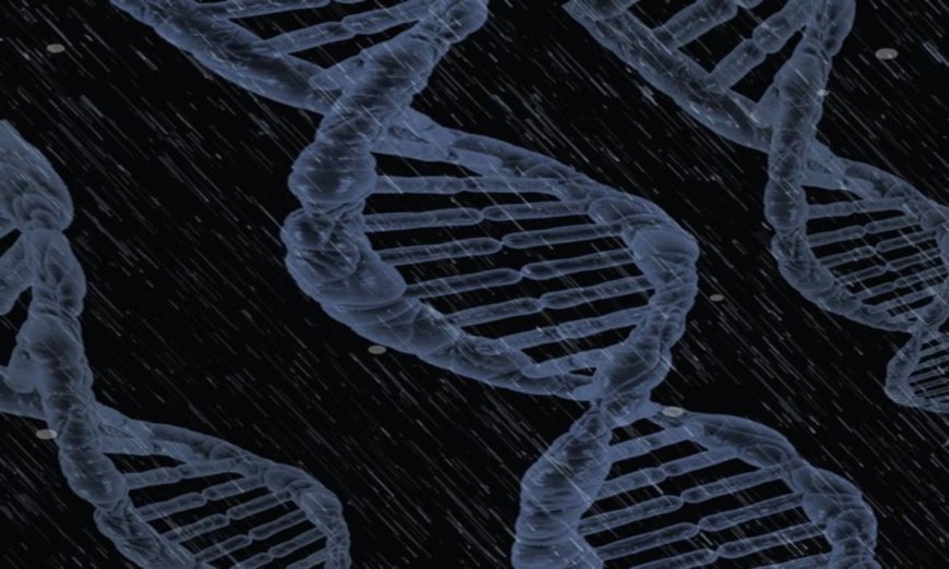 Gene Therapy Shows Promise as Long-lasting Treatment for HIV