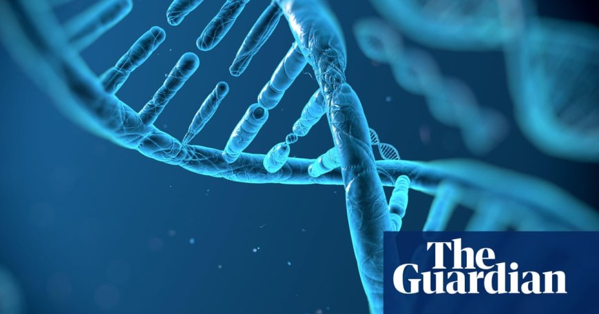 UK Scientists Working on Synthesizing Human Genome to Understand DNA Function