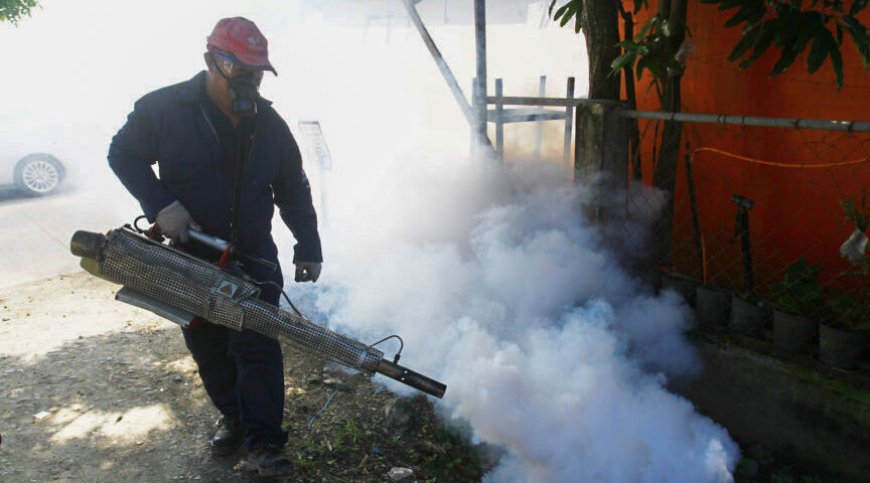 Davao City Health Office Urges City Council to Update Dengue Prevention Rules
