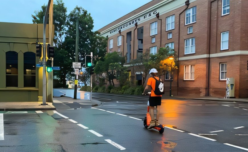 Analysis of E-Scooter Riders' Behavior in Brisbane