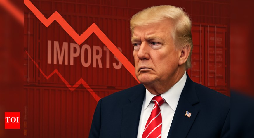 US Economy Shrinks 0.5% Due to Trump's Tariff Wars