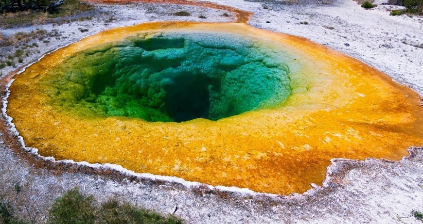 Exploring the Potential of Extremophiles for Bioprospecting