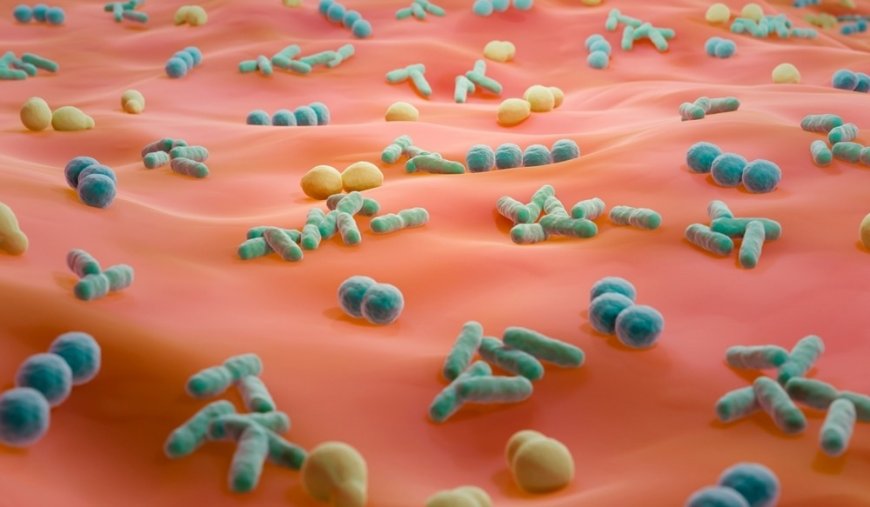 Understanding the Role of Microbial Culture Banks