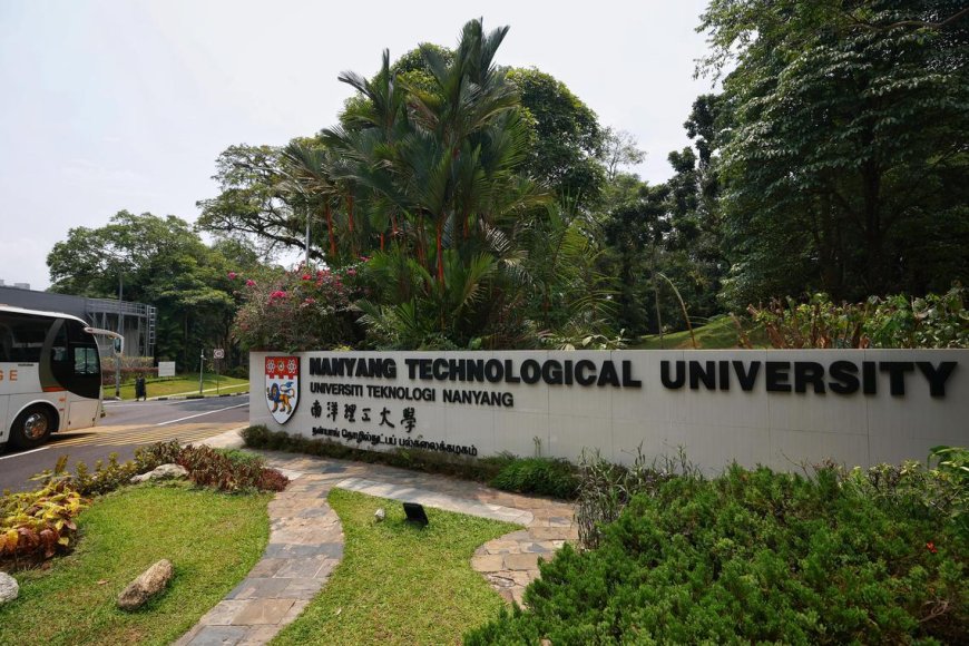 NTU Panel of AI Experts to Review Student's Appeal for Academic Misconduct