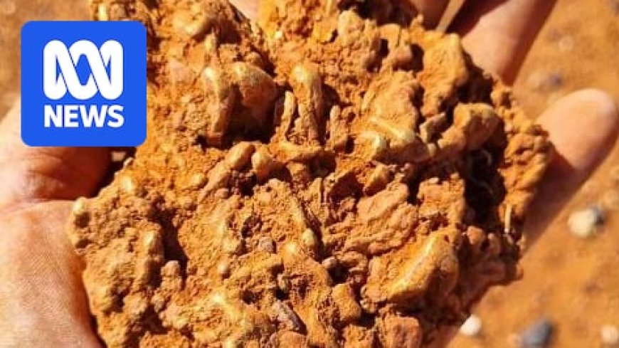 Gold Rush in Goldfields as Huge Nugget Discovered
