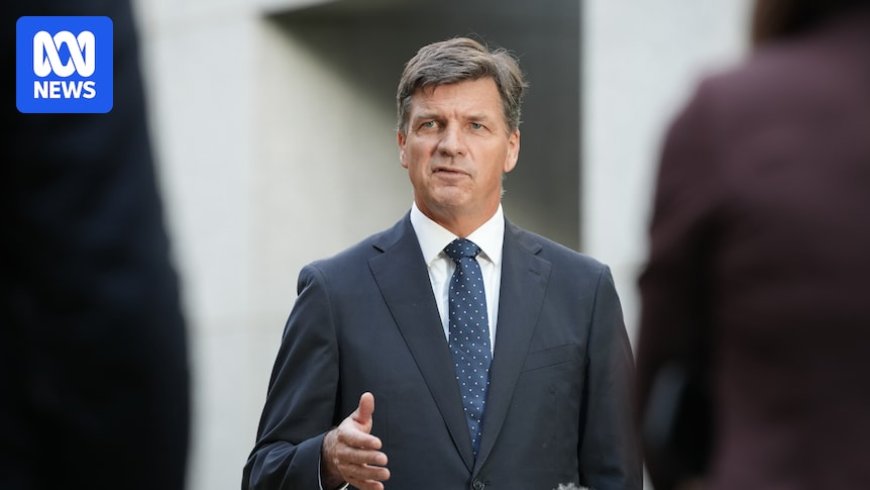Angus Taylor's Stance on Liberal Party's Women Quotas