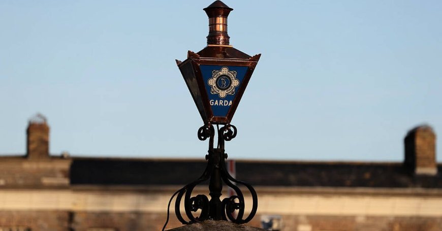 Garda Seeks Restraining Order Against Superior for Harassment and Bullying