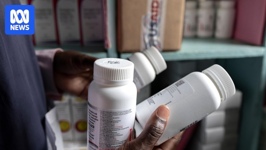 Global HIV Fight Faces Challenges Due to Funding and Research Cuts