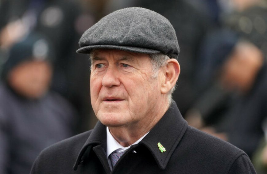 JP McManus Upset Over Limerick Council's Rejection of Rugby Expo 'Gift'
