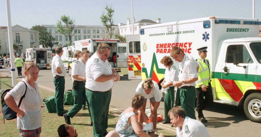 Devon Beach Incident Resembling 'Jaws' Leaves Nearly 1,000 Injured