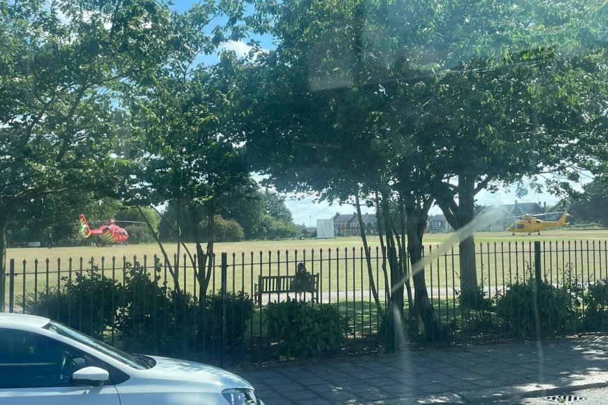 Five Children Injured in Public Park as Tree Collapses