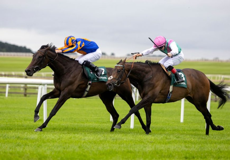 Whirl Emerges Victorious in Pretty Polly Stakes, Becomes Joint-Favorite for Arc