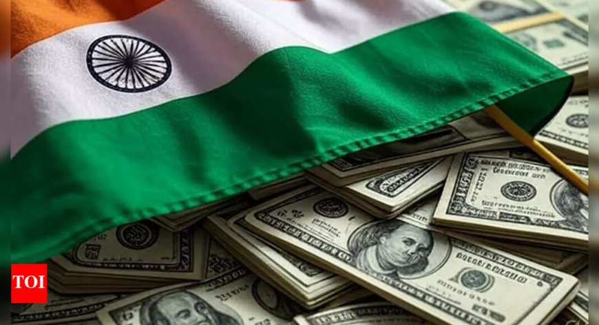 US Senate Draft Reduces Remittance Tax for NRIs to 1% from 3.5%