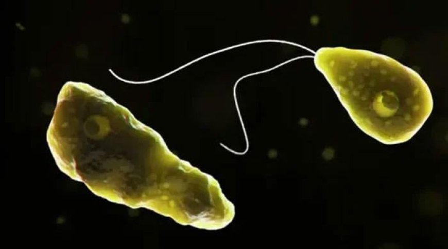 Naegleria fowleri claims fourth life in Karachi as death toll rises