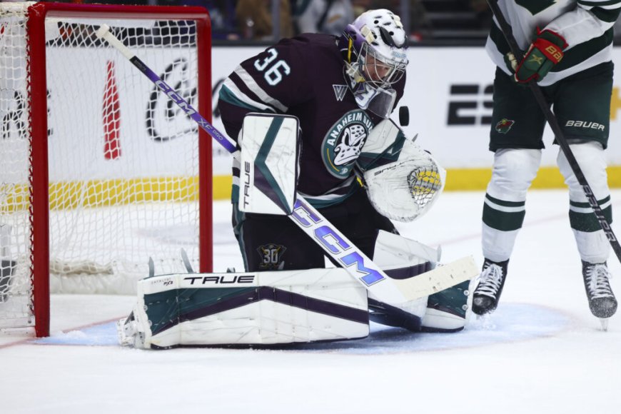 Detroit Red Wings Trade for Goaltender John Gibson from Anaheim Ducks
